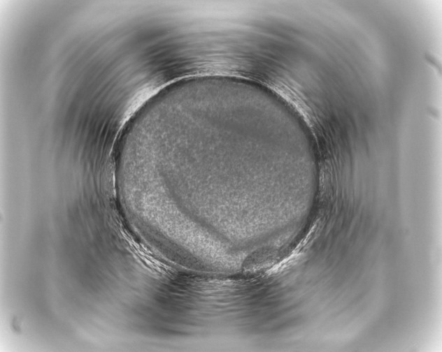 X0000093460925200711021131