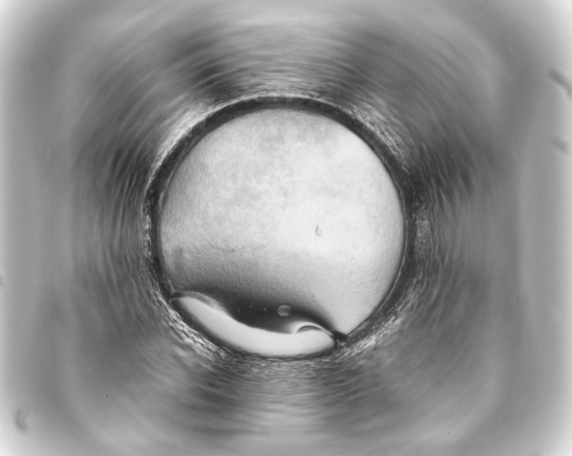 X0000093460926200711021131