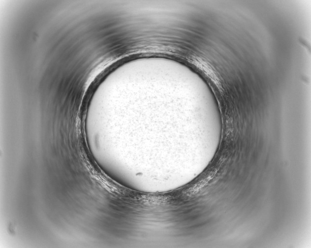 X0000093460928200711021131