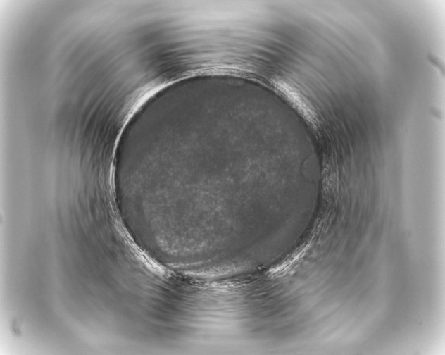 X0000093460932200711021131