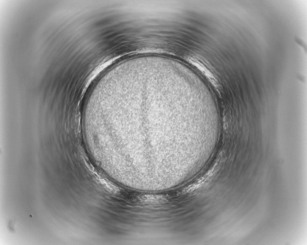 X0000093460933200711021131