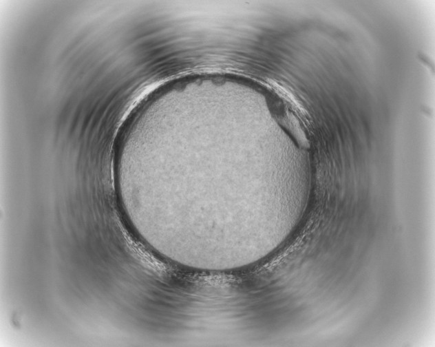 X0000093460934200711021131