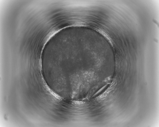 X0000093460935200711021131