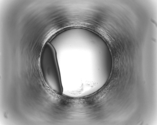 X0000093460936200711021131