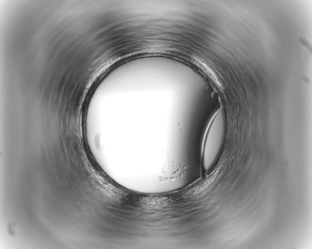 X0000093460939200711021131