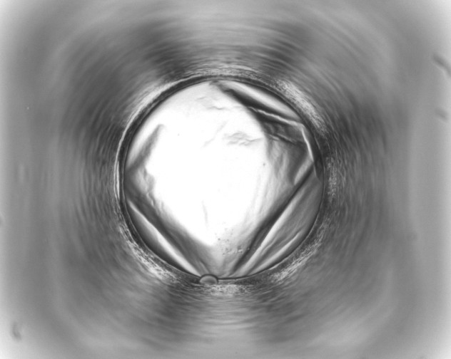 X0000093460940200711021131