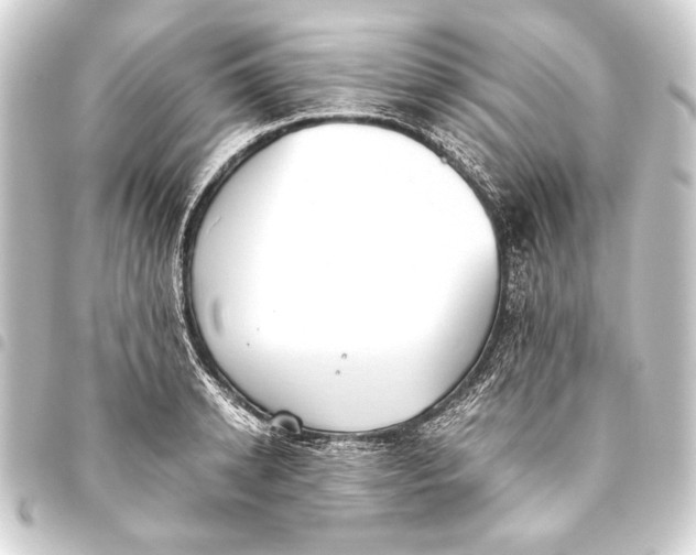 X0000093460942200711021132