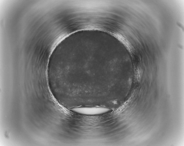 X0000093460943200711021132