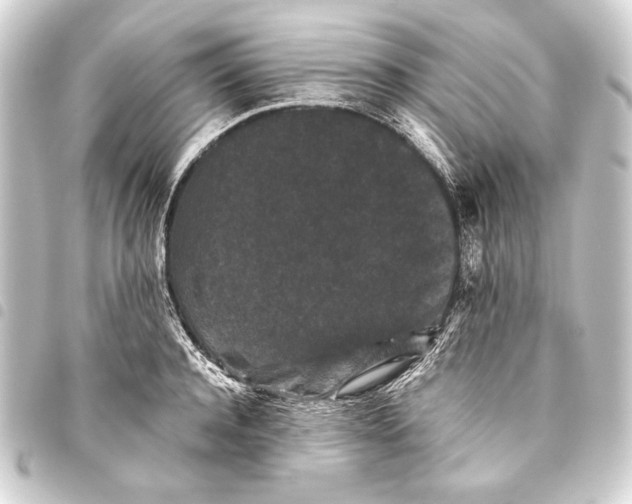 X0000093460944200711021132