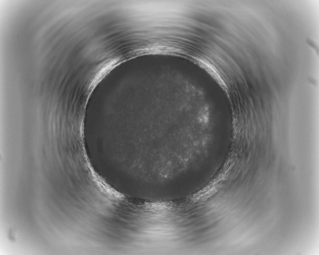 X0000093460946200711021132