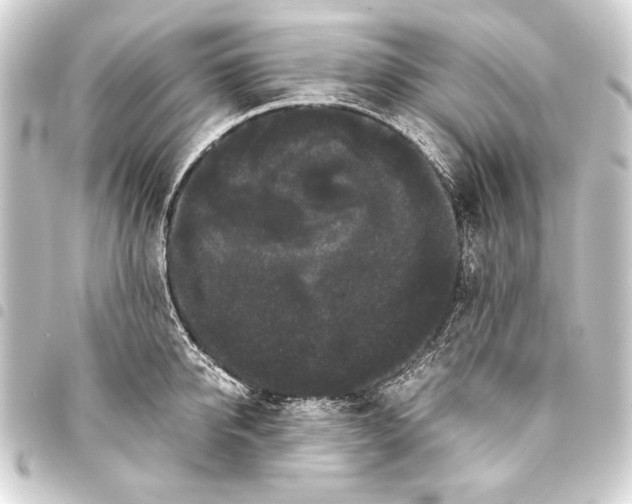 X0000093460950200711021132