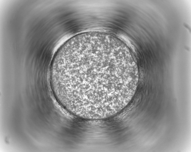 X0000093460952200711021132