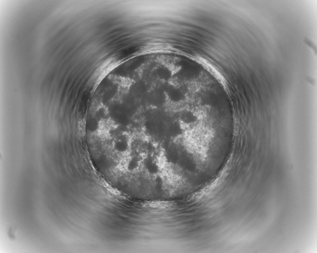 X0000093460953200711021132