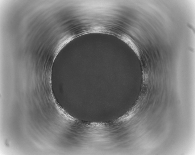 X0000093460954200711021132