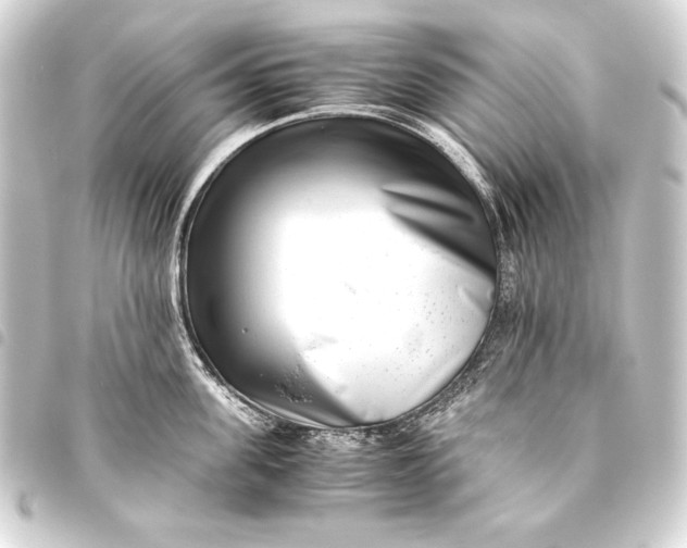 X0000093460955200711021132