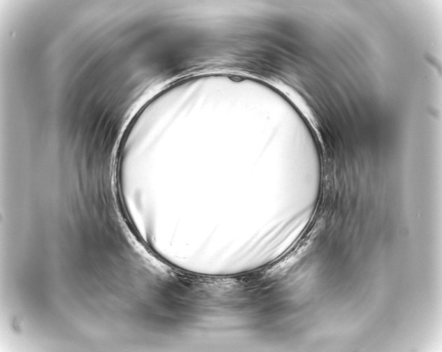 X0000093460957200711021132