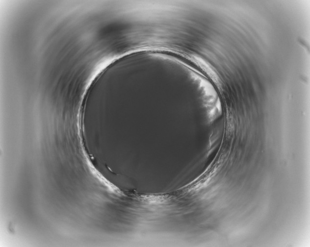 X0000093460958200711021132