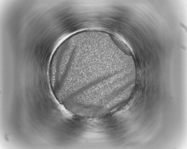 X0000093460959200711021132