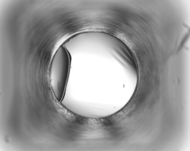 X0000093460960200711021132