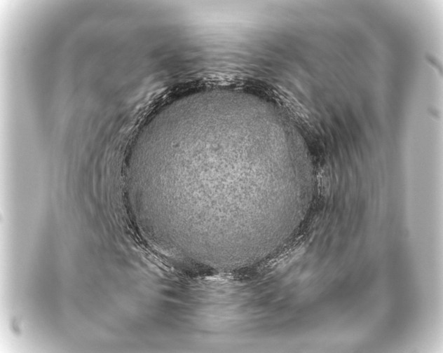 X0000093460961200711021131