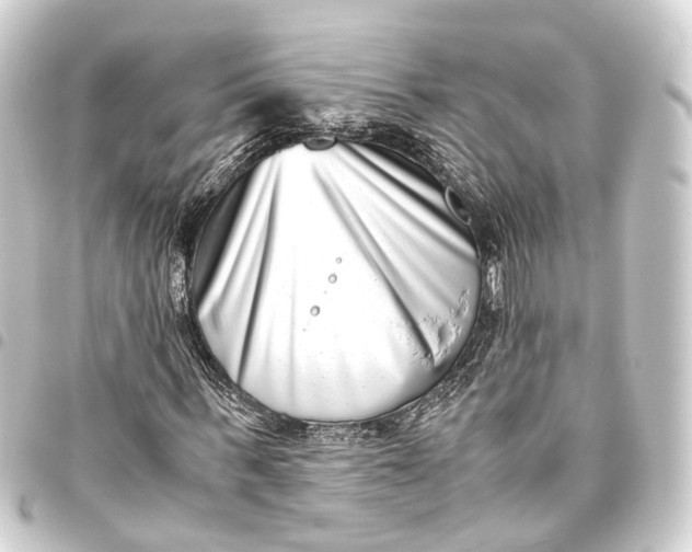 X0000093460963200711021131