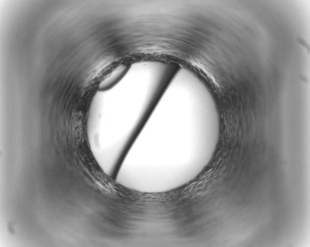 X0000093460968200711021131