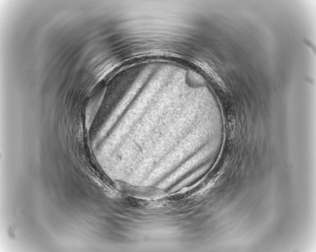 X0000093460969200711021131