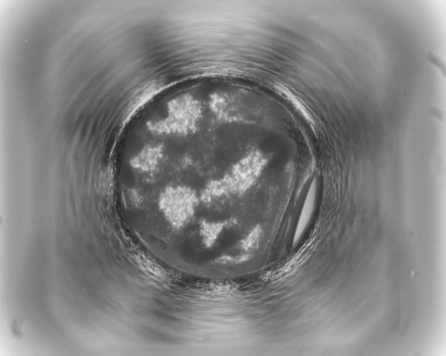 X0000093460975200711021131