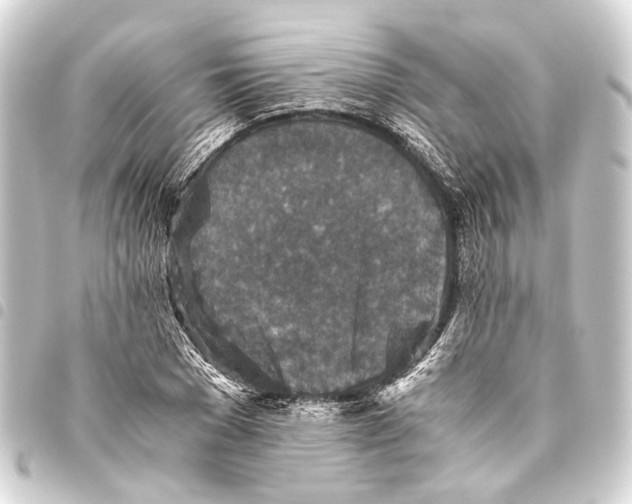 X0000093460977200711021131