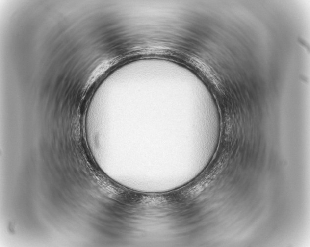 X0000093460978200711021131