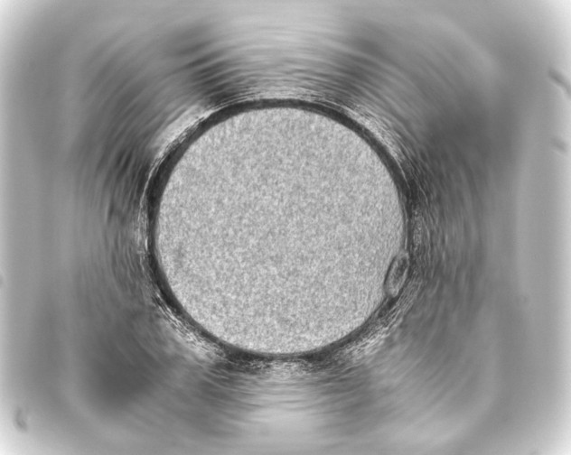 X0000093460979200711021131