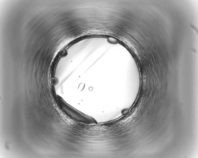 X0000093460981200711021131