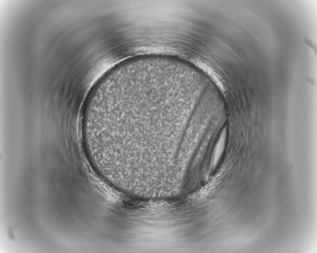 X0000093460983200711021131