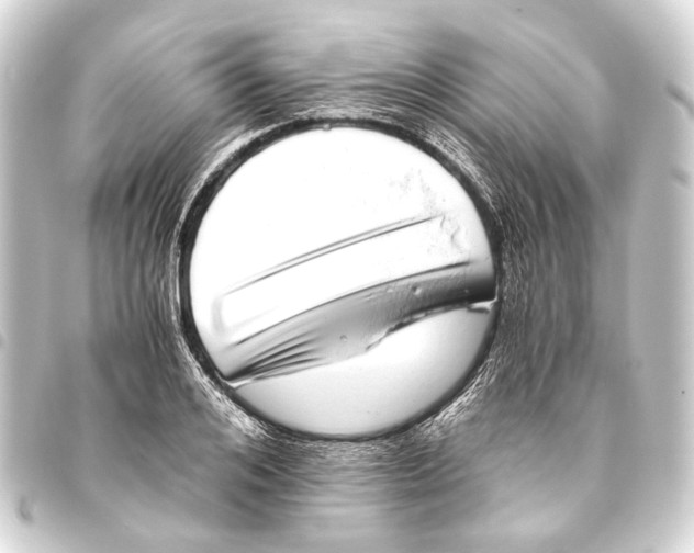 X0000093460984200711021131