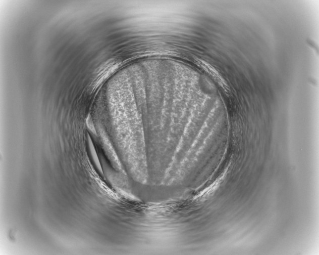 X0000093460985200711021131