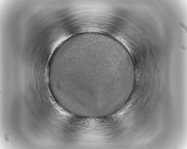 X0000093460987200711021131