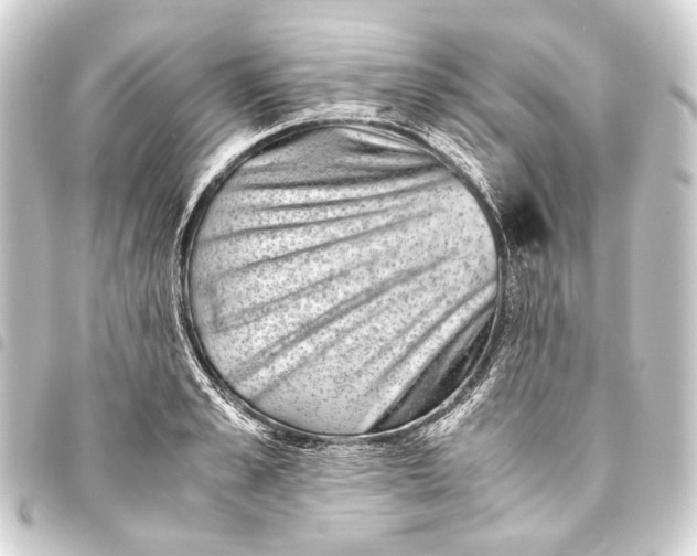 X0000093460989200711021131