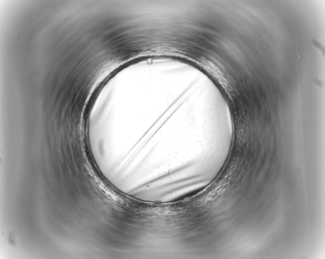 X0000093460990200711021131