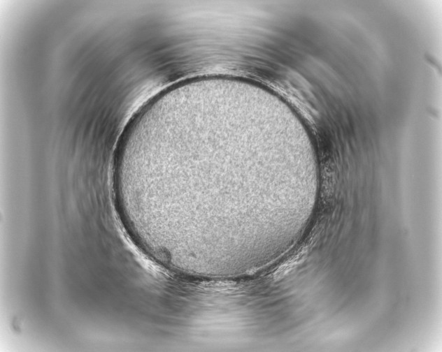 X0000093460991200711021131