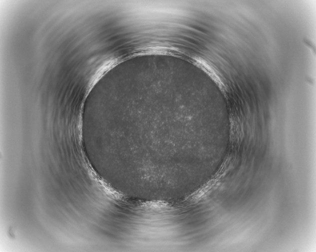 X0000093460994200711021131