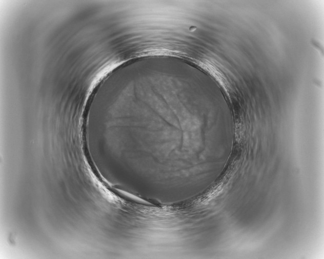 X0000093460995200711021131