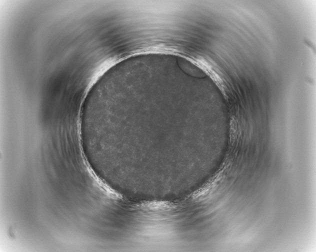 X0000093460998200711021131