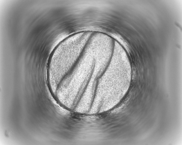 X0000093460999200711021131