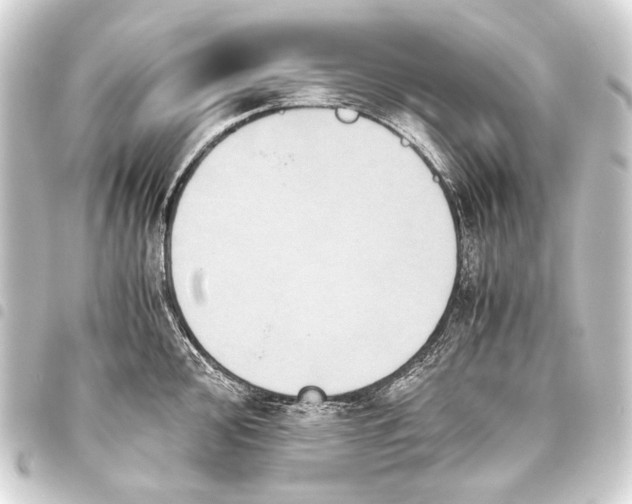 X0000093461000200711021131