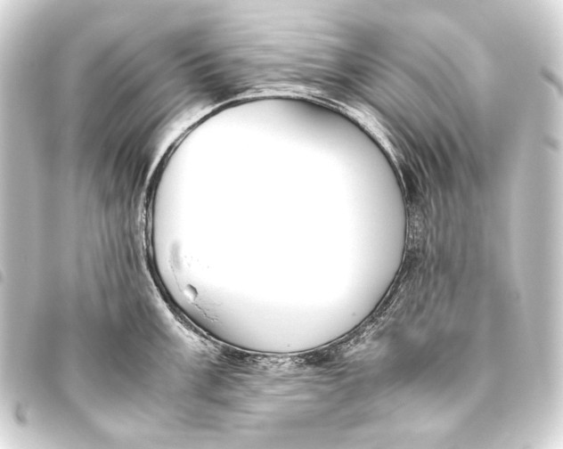 X0000093461003200711021131