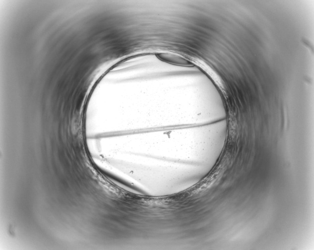 X0000093461004200711021131