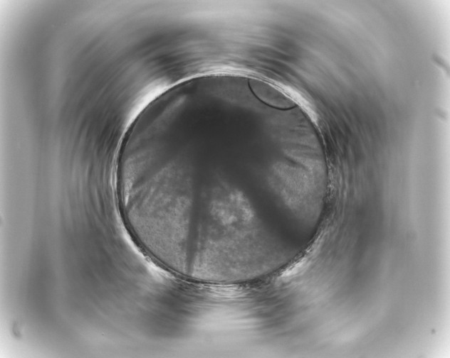 X0000093461007200711021130