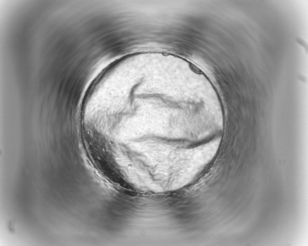 X0000093461008200711021130