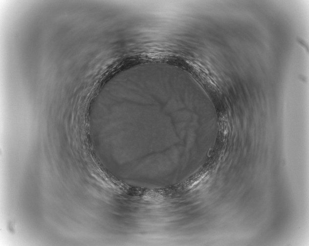 X0000093461009200711021130