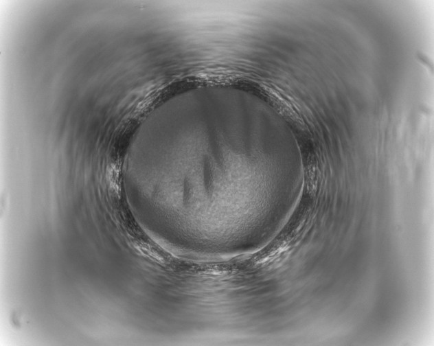 X0000093461010200711021130